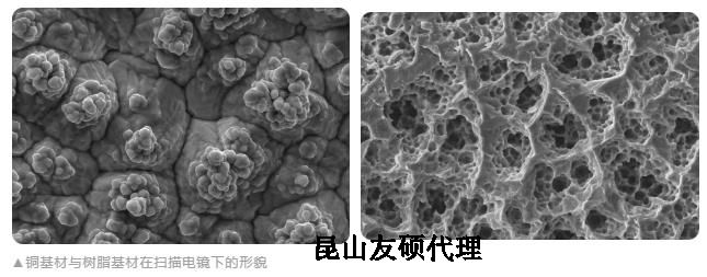 抚顺蔡司抚顺扫描电镜